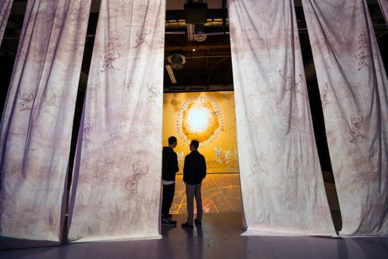 Signals Festival 2025