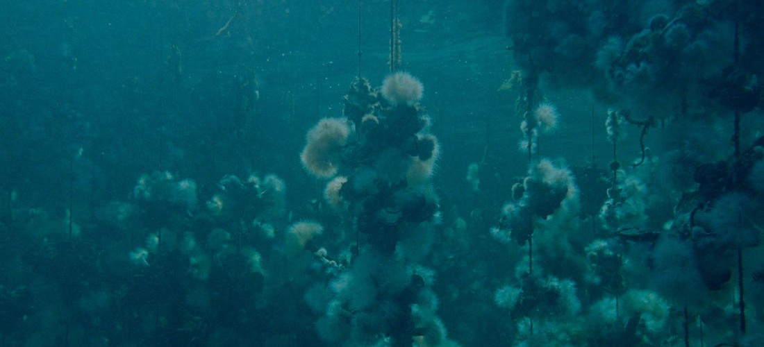 Mdf25 Dip Canada Concrete Turned To Sand Tt Width 1100 Height 500 Crop 1 Bgcolor F0f2f7 Post Id 25244