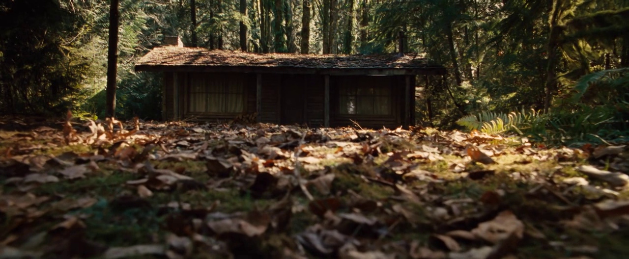 The Cabin In The Woods