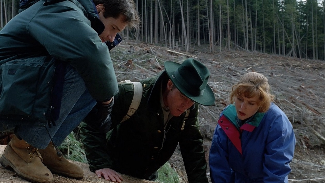 The X Files Darkness Falls