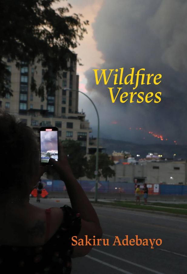 Wildfire Verses Sakiru Adebayo
